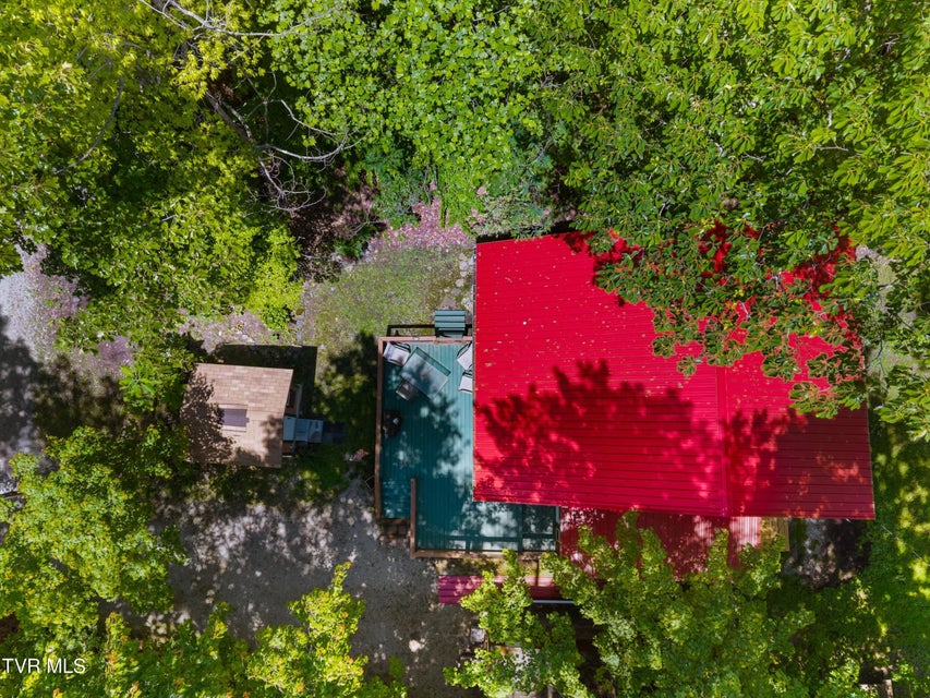 Photo #59: 236 Beech Street