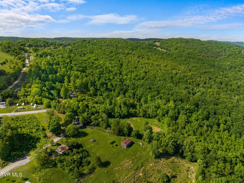 Photo #66: 236 Beech Street