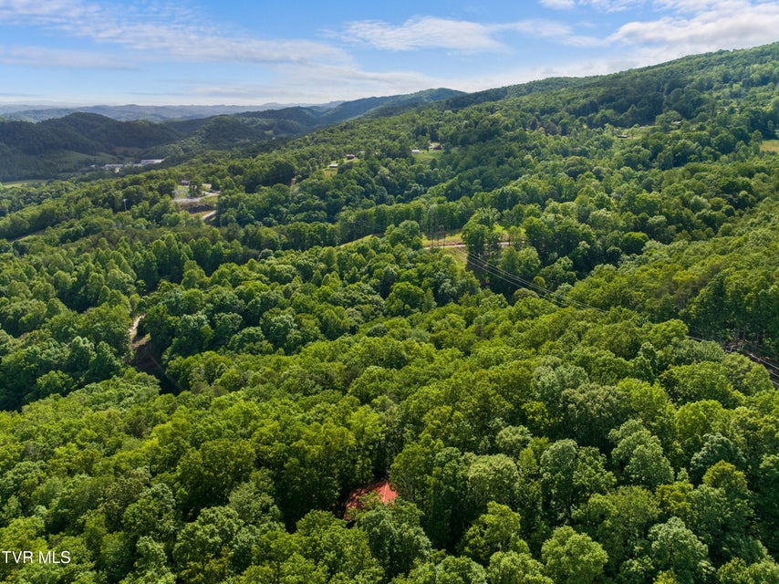 Photo #94: 236 Beech Street