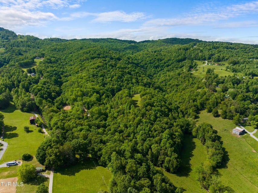 Photo #98: 236 Beech Street