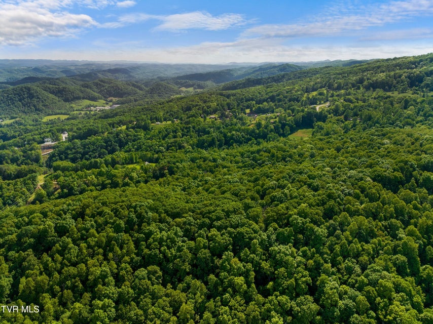 Photo #96: 236 Beech Street