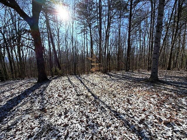 Photo #3: Lot 15 Under The Sun Road