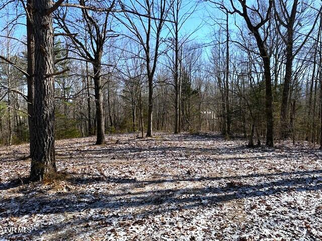 Photo #4: Lot 15 Under The Sun Road