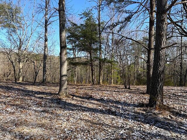 Photo #5: Lot 15 Under The Sun Road