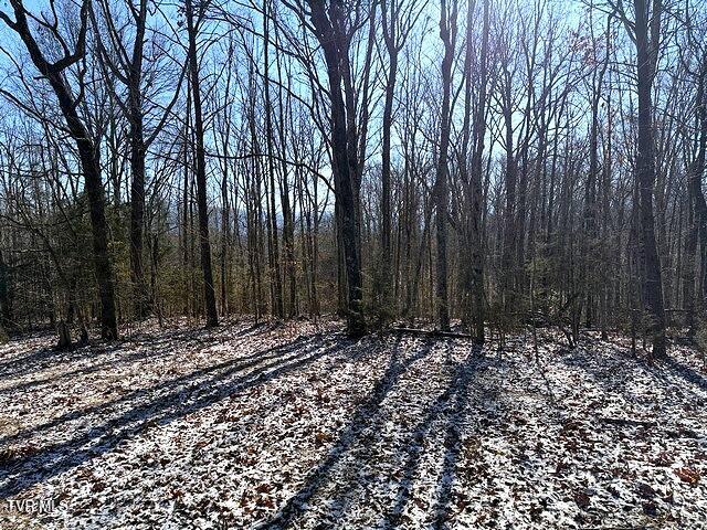 Photo #6: Lot 15 Under The Sun Road