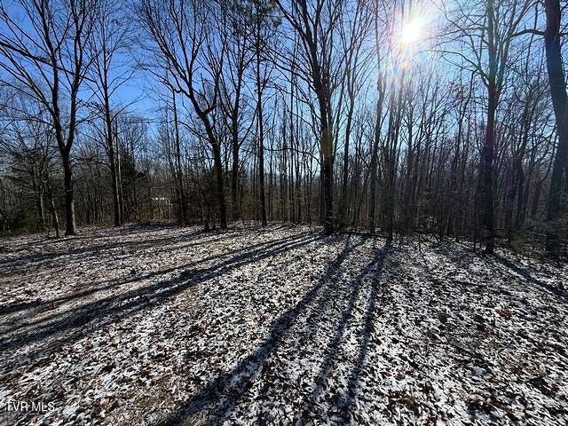 Photo #7: Lot 15 Under The Sun Road