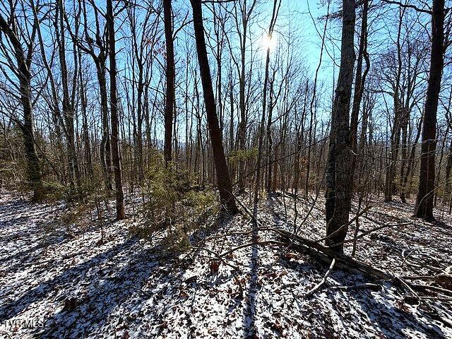 Photo #8: Lot 15 Under The Sun Road