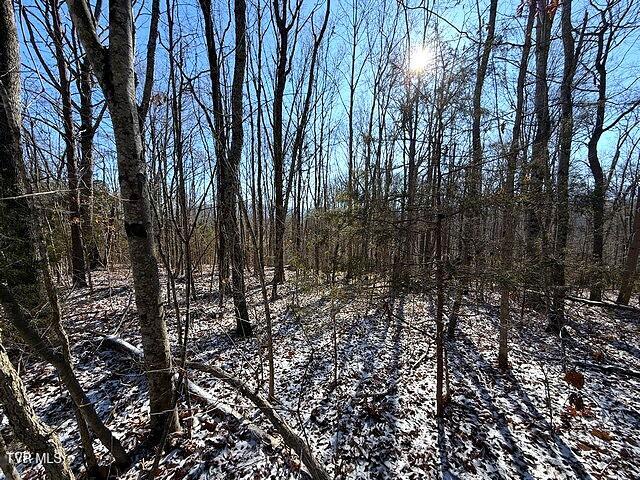 Photo #9: Lot 15 Under The Sun Road