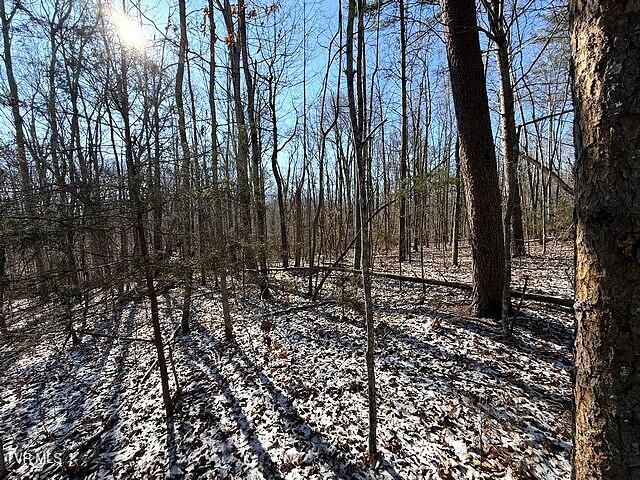 Photo #10: Lot 15 Under The Sun Road