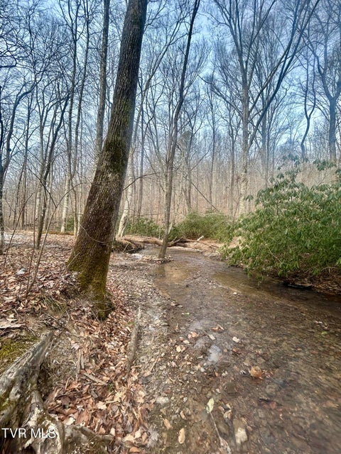 Photo #28: 0 Brair Fork Road