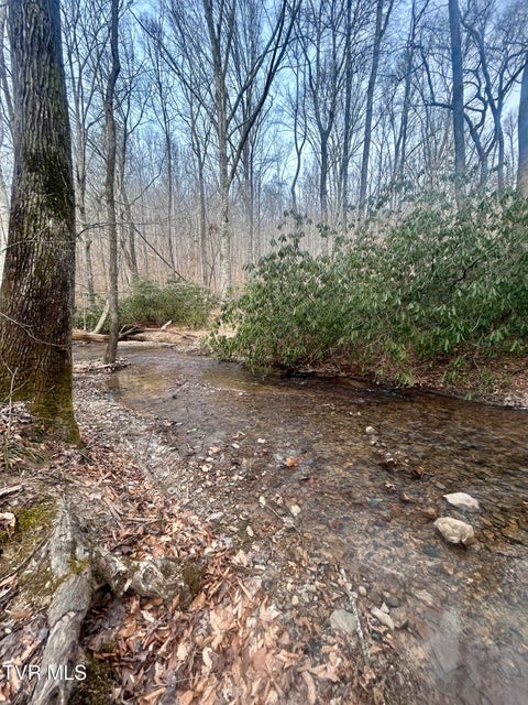 Photo #30: 0 Brair Fork Road