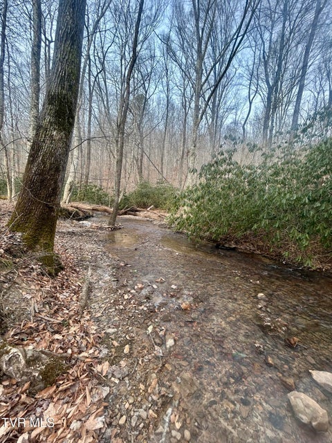 Photo #31: 0 Brair Fork Road