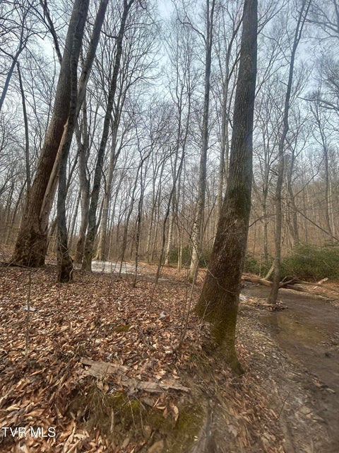 Photo #29: 0 Brair Fork Road