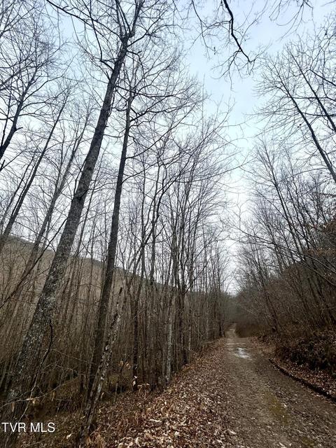 Photo #8: 0 Brair Fork Road