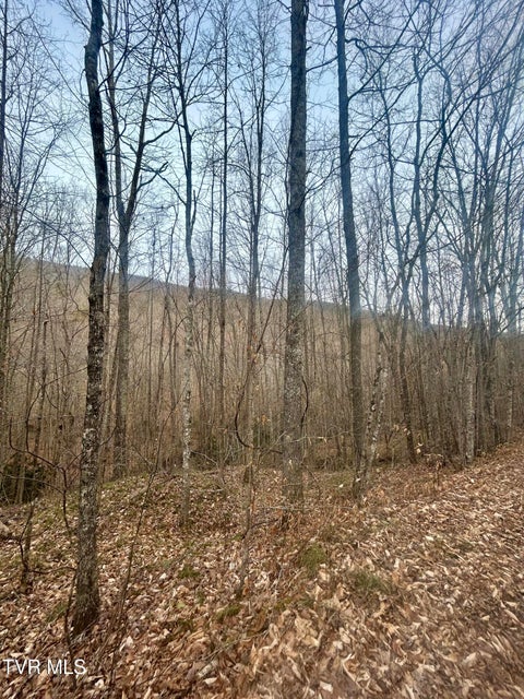 Photo #32: 0 Brair Fork Road