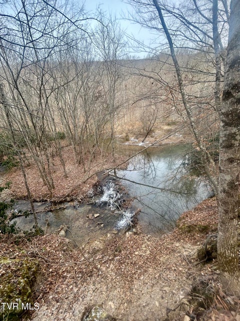 Photo #7: 0 Brair Fork Road