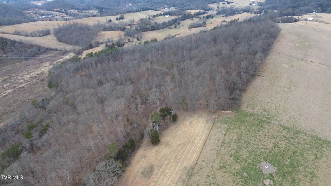 Photo #72: 7299 Blue Sky Ln Lane