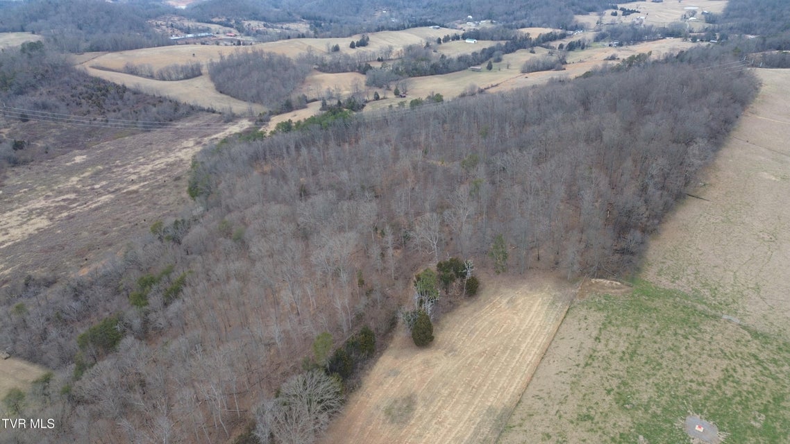 Photo #73: 7299 Blue Sky Ln Lane