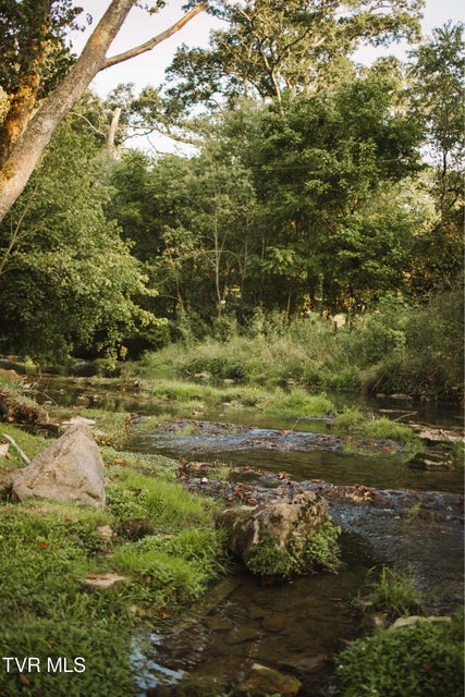 Photo #18: 21405 Parks Mill Road