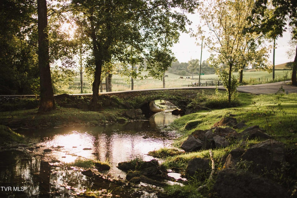 Photo #20: 21405 Parks Mill Road