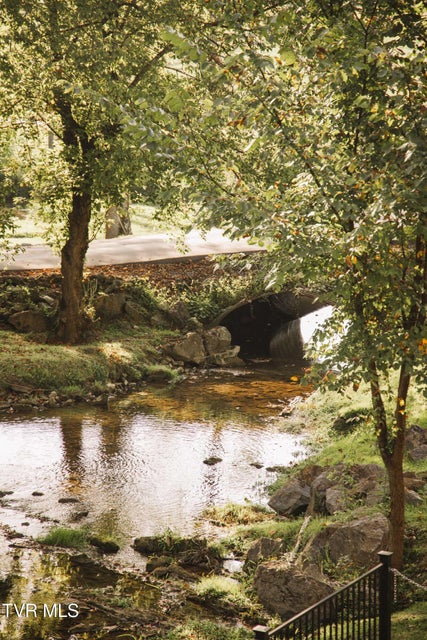 Photo #41: 21405 Parks Mill Road