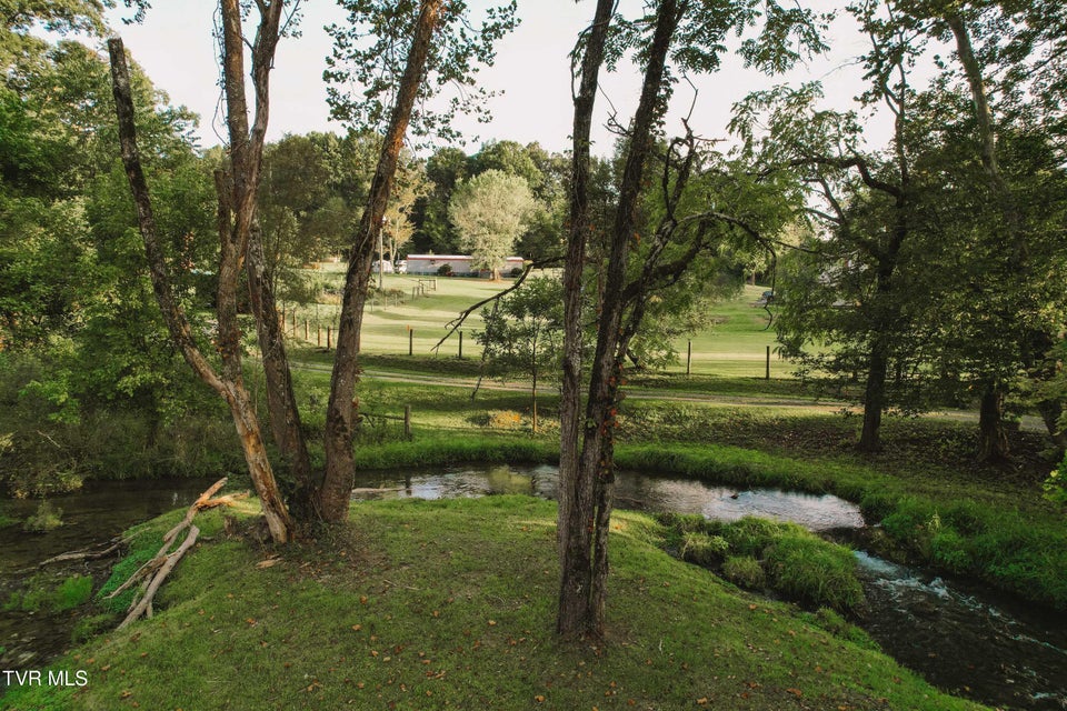 Photo #59: 21405 Parks Mill Road