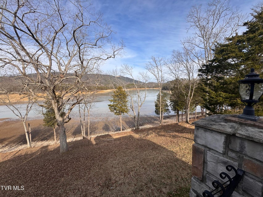 Photo #44: 211 Petty Lane