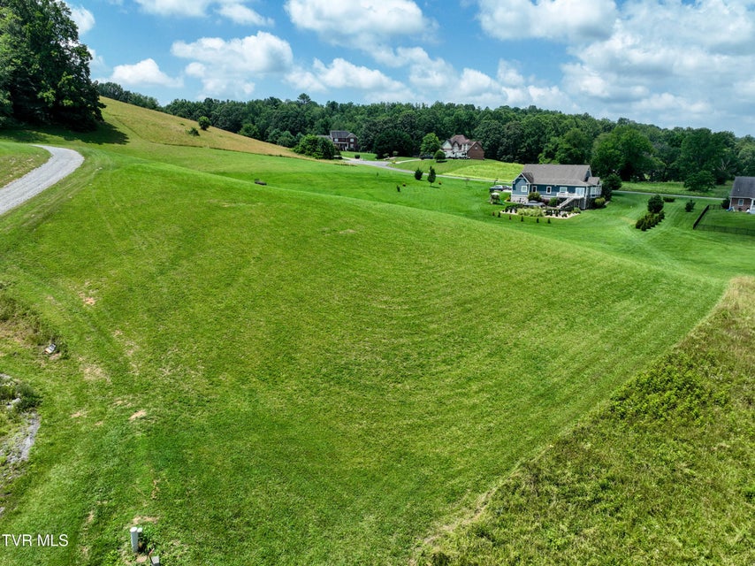 Photo #7: Tbd Snaffle Bit 