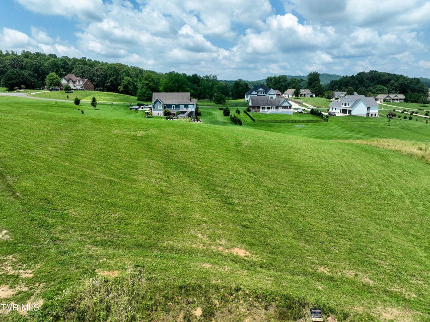 Photo #8: Tbd Snaffle Bit 