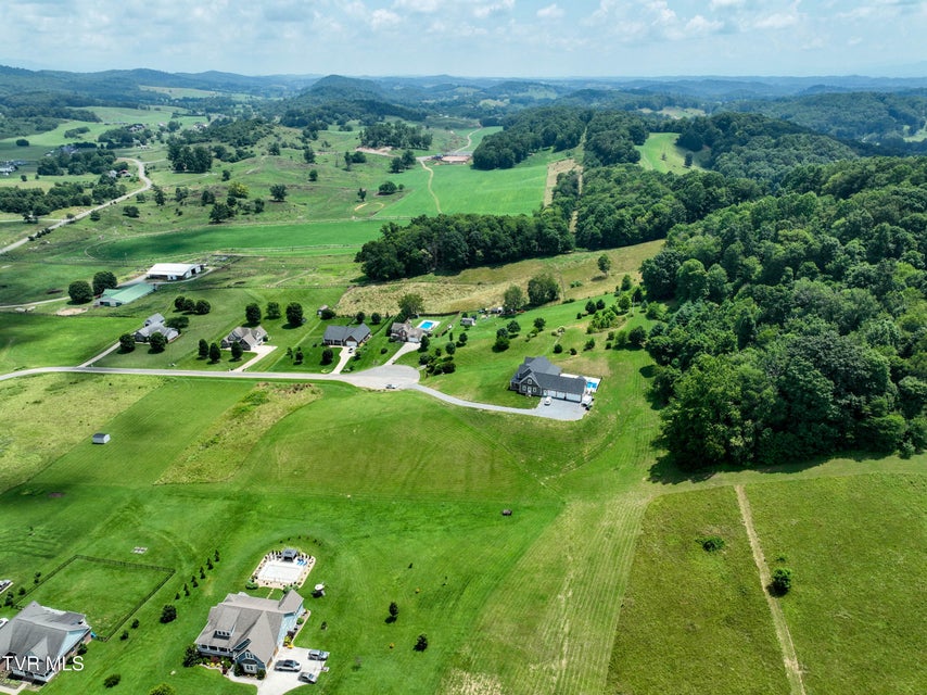 Photo #16: Tbd Snaffle Bit 