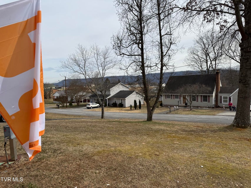 Photo #4: 216 Willow Street