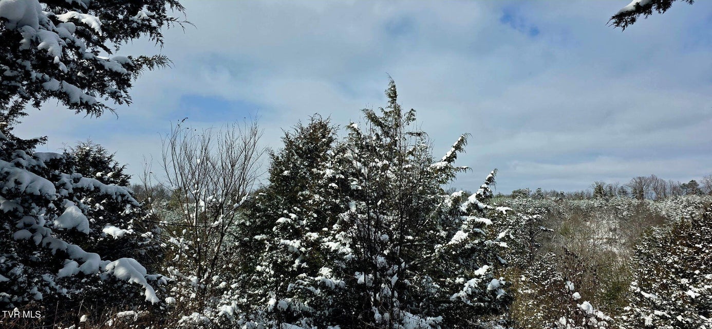 Photo #59: 176 Wade Bulla Road