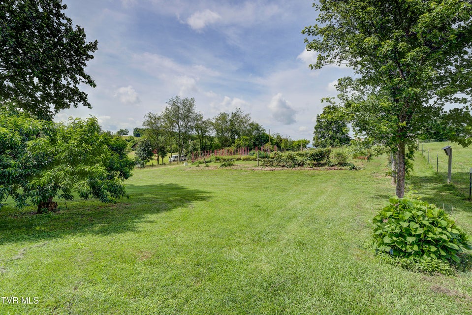 Photo #43: 312 Stockyard Road