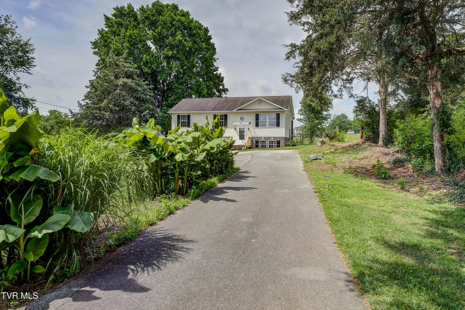 Photo #56: 312 Stockyard Road