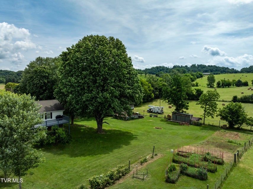 Photo #62: 312 Stockyard Road