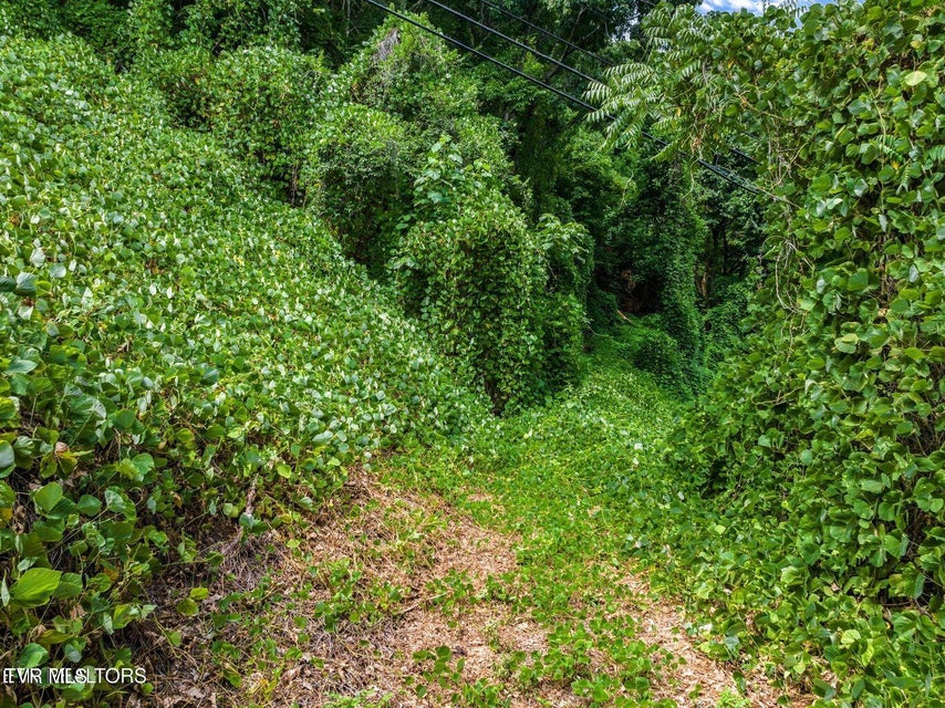 Photo #3: Tbd Highway 66 