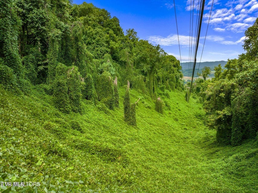 Photo #4: Tbd Highway 66 