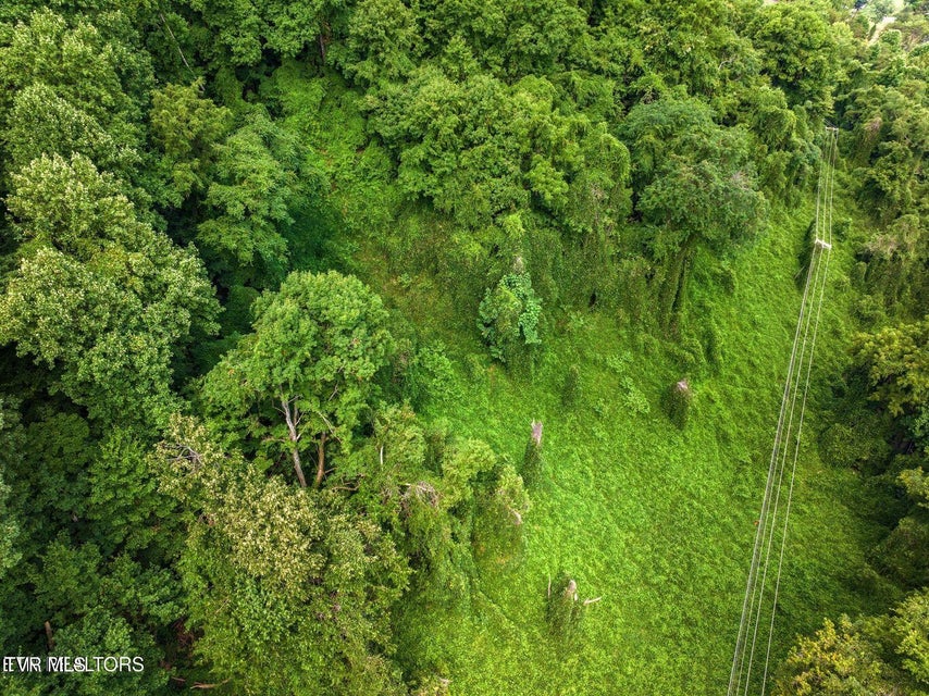 Photo #5: Tbd Highway 66 