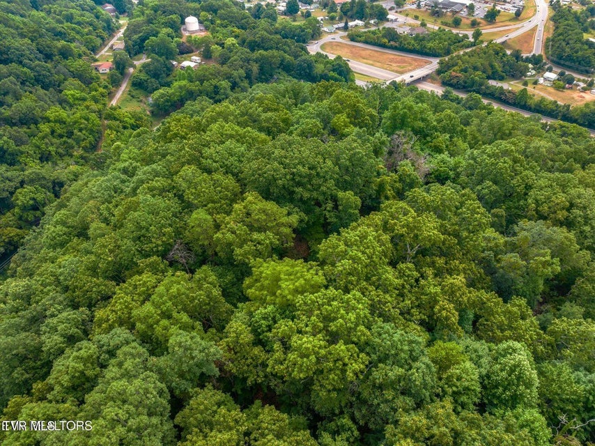 Photo #6: Tbd Highway 66 