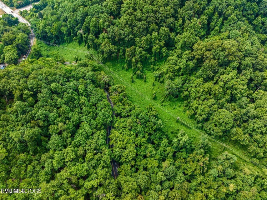 Photo #9: Tbd Highway 66 