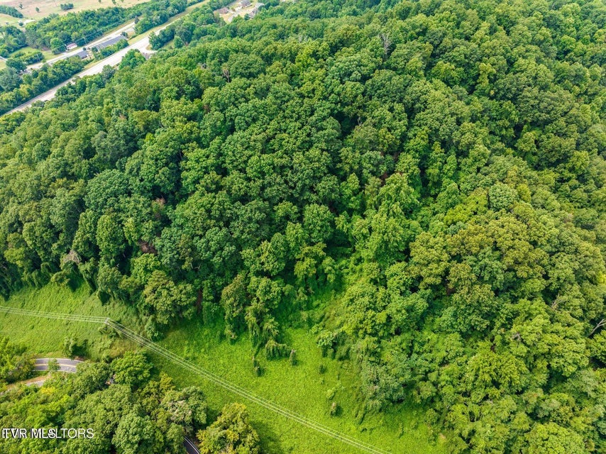 Photo #12: Tbd Highway 66 