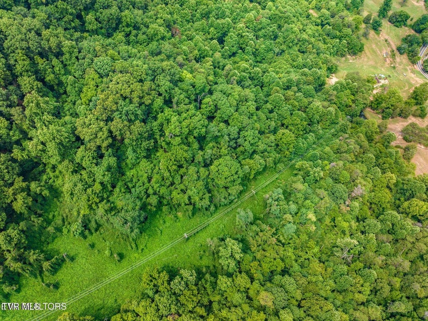 Photo #13: Tbd Highway 66 