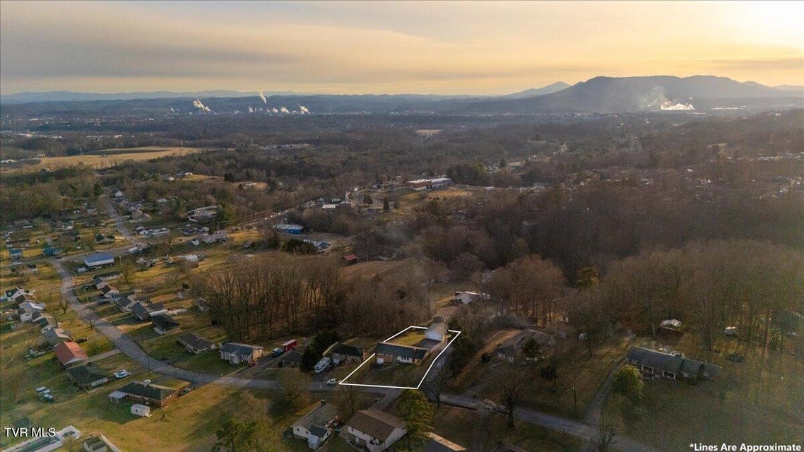 Photo #44: 204 Thompson Street