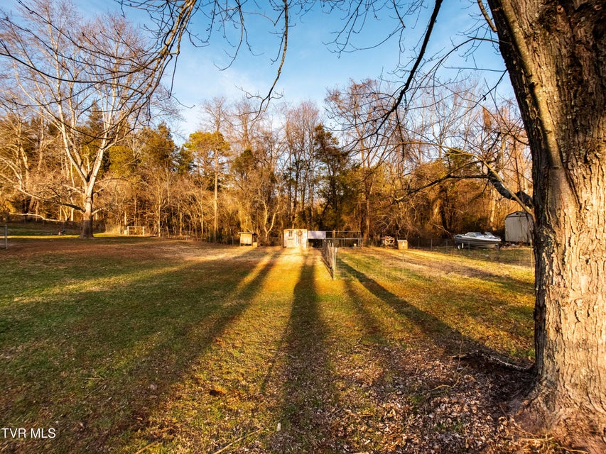 Photo #36: 200 Birdie Drive