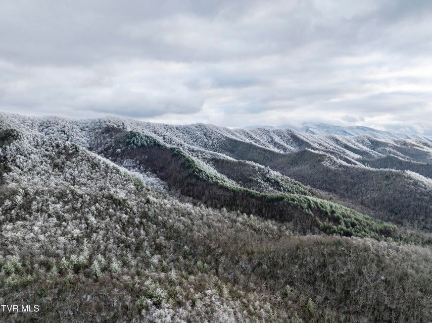 Photo #27: 48 Homestead Drive