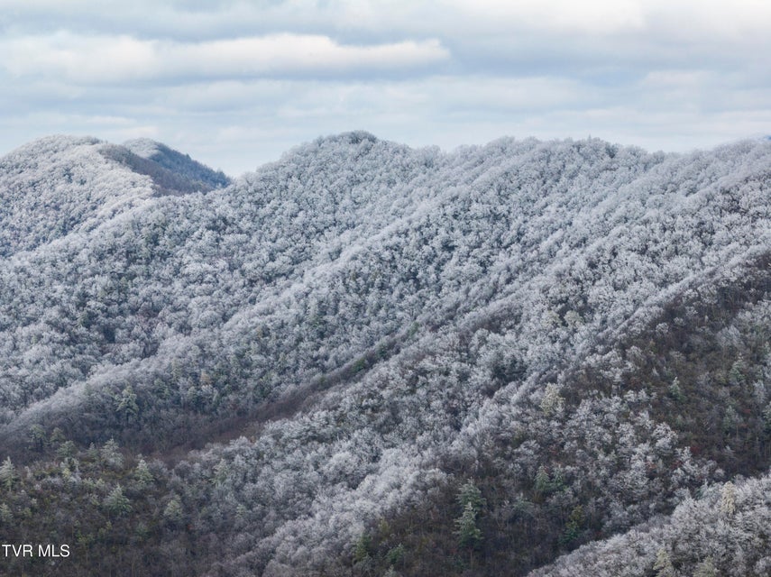 Photo #28: 48 Homestead Drive