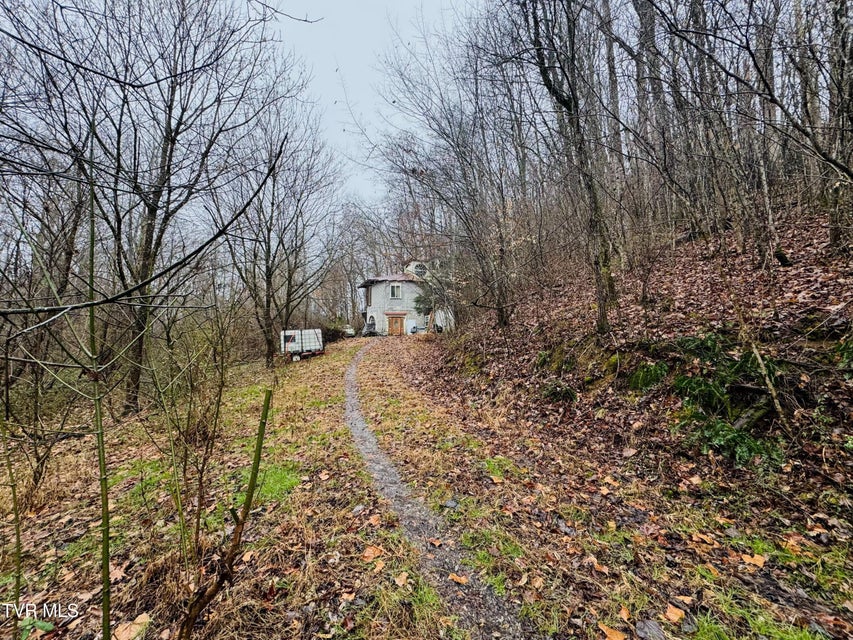 Photo #16: 115 Old Cemetary Road
