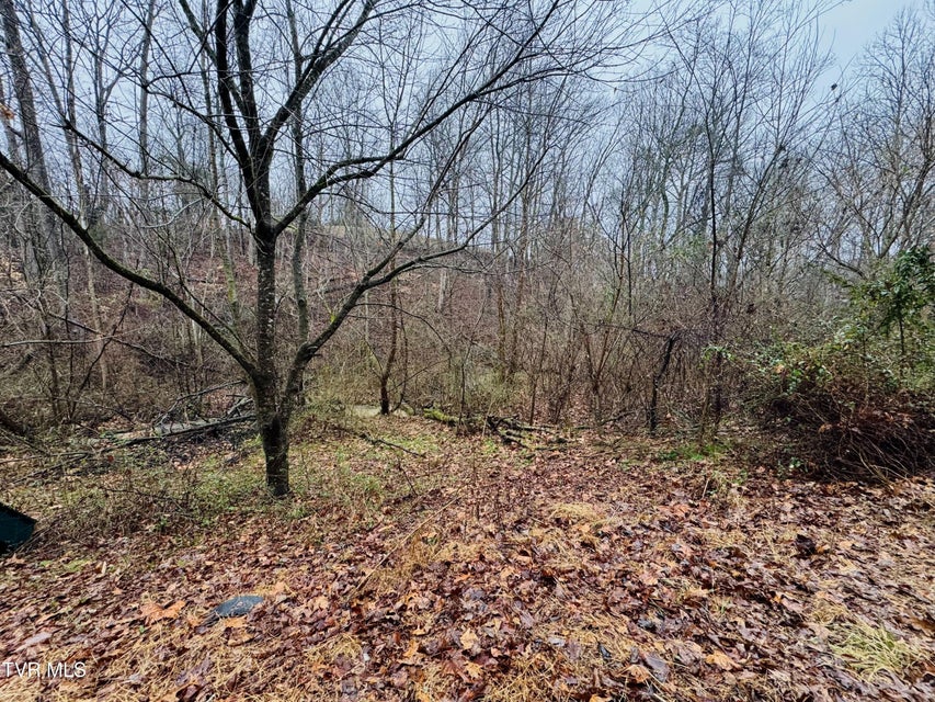 Photo #13: 115 Old Cemetary Road