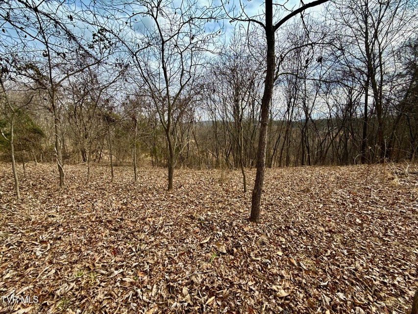 Photo #4: 25/Ac Tbd Horton Highway