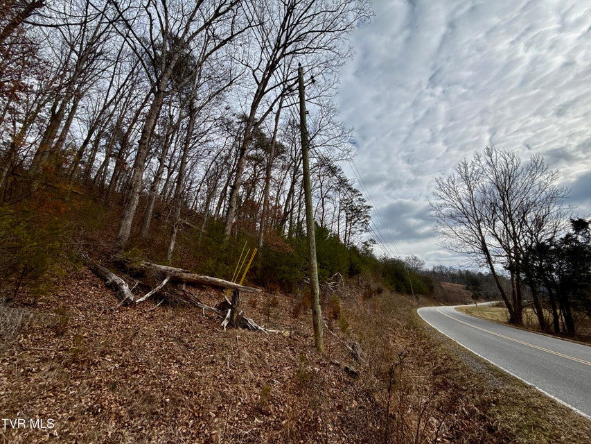 Photo #7: 25/Ac Tbd Horton Highway